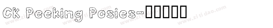 CK Peeking Posies字体转换